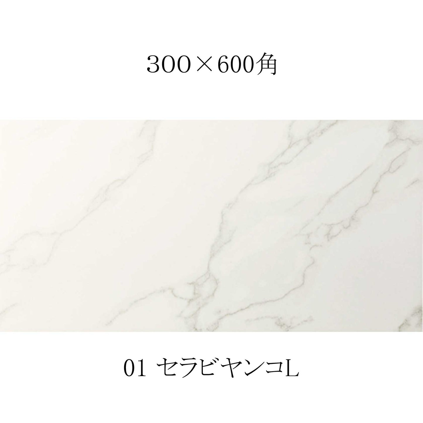 光沢磨き仕上げタイル【バチカン ライトカラー】 セラビヤンコL 300×600角(磨仕上げ)ホワイト マーブル大理石調カラー【ケース販売/8枚入り】白 床 壁 屋内 玄関 輝き お洒落 使いやすい