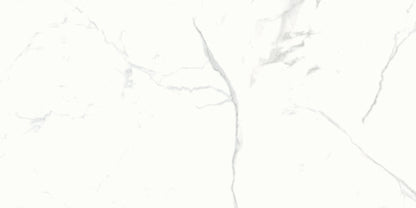 大理石調エレガントタイル Ceramic Marble Elegant (セラミック マーブル エレガント) 600×1200角 (60cm×120cm)磨き仕上げ【ケース販売／2枚入り】床 壁 屋内 玄関 高級感 ｜全6色展開