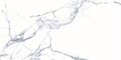 大理石調エレガントタイル Ceramic Marble Elegant (セラミック マーブル エレガント) 600×1200角 (60cm×120cm)磨き仕上げ【ケース販売／2枚入り】床 壁 屋内 玄関 高級感 ｜全6色展開