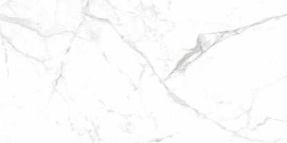 大理石調タイル Ceramic Marble Indus (セラミック マーブル インダス) 600×1200角 (60cm×120cm)磨仕上げ【ケース販売／2枚入り】床 壁 屋内 玄関 商業空間 高級感 ｜全2色展開